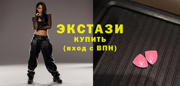 индика Новодвинск
