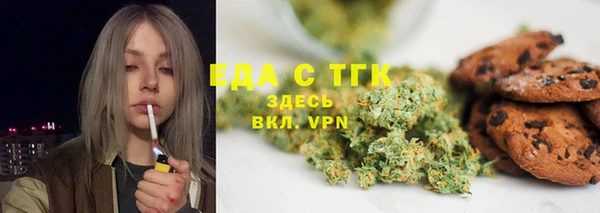 индика Новодвинск