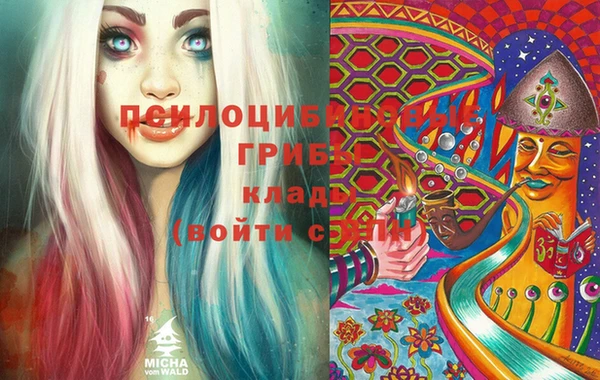 индика Новодвинск