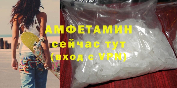 индика Новодвинск