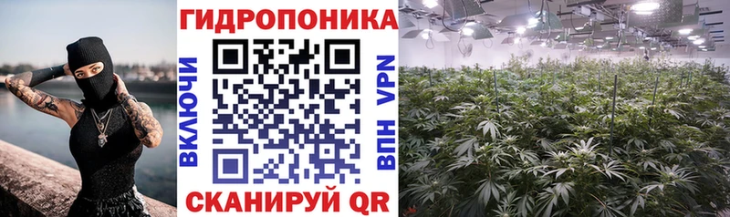 Купить где  Энем  Конопля OG Kush 